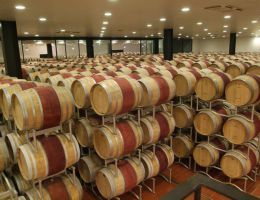 Immagine 4 di NOBILE DI MONTEPULCIANO D.O.C.G