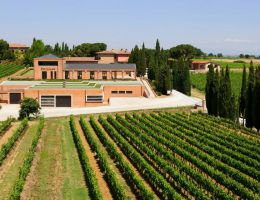 Immagine 5 di NOBILE DI MONTEPULCIANO D.O.C.G