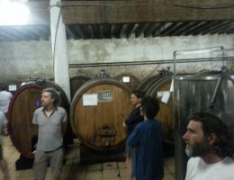 Immagine 3 di I.G.T. ROSSO TOSCANO BIODINAMICO COSIMO MARIA MASINI