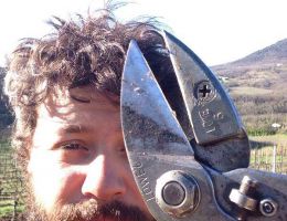 Immagine 1 di COLLI EUGANEI ROSSO D.O.C. COVOLO