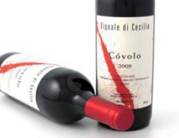 Immagine 2 di COLLI EUGANEI ROSSO D.O.C. COVOLO