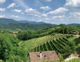 Immagine 4 di RAMANDOLO D.O.C.G. DARIO COOS