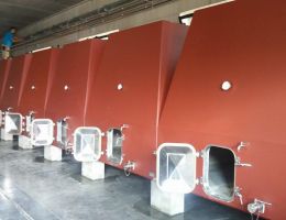 Immagine 3 di MONTESCUDAIO ROSSO D.O.C. LE PRODE