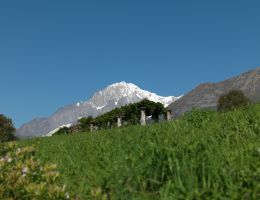 Immagine 2 di VALLEE D'AOSTA D.O.C. BLANC DE MORGEX ET DE LA SALLE BLANC DU BLANC BRUT CAVE MONT BLANC