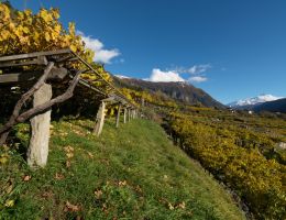 Immagine 3 di VALLEE D'AOSTA D.O.C. BLANC DE MORGEX ET DE LA SALLE BLANC DU BLANC BRUT CAVE MONT BLANC