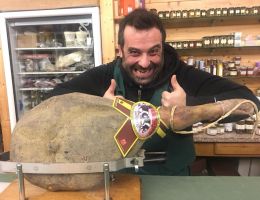 Immagine 2 di PROSCIUTTO CRUDO DI CINTA SENESE D.O.P. NORCINERIA FALASCHI