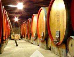 Immagine 4 di C.O.F SCHIOPPETTINO D.O.C. SELEZIONE 2012 CONTE D'ATTIMIS MANIAGO 1585