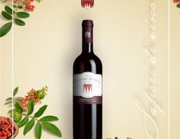 Immagine 1 di C.O.F SCHIOPPETTINO D.O.C. SELEZIONE 2012 CONTE D'ATTIMIS MANIAGO 1585