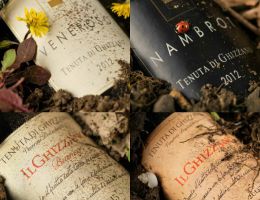 Immagine 5 di NAMBROT I.G.T. COSTA TOSCANA