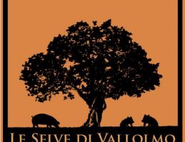 Immagine 3 di PROSCIUTTO CRUDO DI SUINO GRIGIO DEL CASENTINO LE SELVE DI VALLOLMO