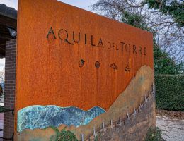 Immagine 2 di C.O.F. PICOLIT D.O.C.G. SELEZIONE AQUILA DEL TORRE