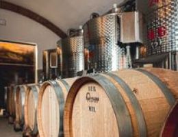 Immagine 4 di C.O.F. PICOLIT D.O.C.G. SELEZIONE AQUILA DEL TORRE