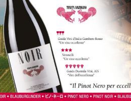 Immagine 2 di O.P. PINOT NERO D.O.C. NOIR TENUTA  MAZZOLINO