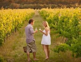 Immagine 5 di LAMBRUSCO DI SORBARA  D.O.C. RIFERMENTATO IN BOTTIGLIA VIGNA DEL PADRE PODERI FIORINI