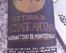 Immagine 1 di SAGRANTINO DI MONTEFALCO D.O.C.G. COLLEALLODOLE