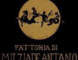 Immagine 2 di SAGRANTINO DI MONTEFALCO D.O.C.G. COLLEALLODOLE