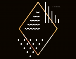 Immagine 3 di TOSCANA SIRAH I.G.T. ROSSO BIO TENIMENTI D'ALESSANDRO