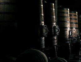 Immagine 4 di TOSCANA SIRAH I.G.T. ROSSO BIO TENIMENTI D'ALESSANDRO