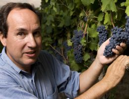 Immagine 2 di SAGRANTINO DI MONTEFALCO PASSITO D.O.C.G.