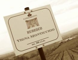 Immagine 3 di TORGIANO ROSSO RISERVA D.O.C.G. RUBESCO VIGNA MONTICCHIO
