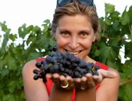 Immagine 4 di TORGIANO ROSSO RISERVA D.O.C.G. RUBESCO VIGNA MONTICCHIO