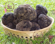 Immagine 1 di Tartufo Nero Pregiato Aretino