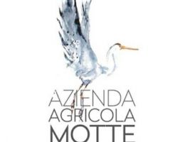 Immagine 5 di RISO CLASSICO CARNAROLI DELLA LOMELLINA  AGRI RISERIA MOTTE