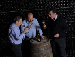 Immagine 1 di SPUMANTE GRAN CUVEE METODO CLASSICO MILLESIMATO DI SAN SEVERO