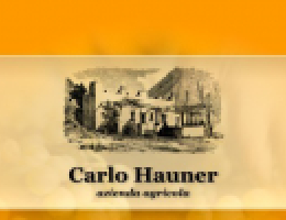 Immagine 2 di MALVASIA DELLE LIPARI PASSITO D.O.C. SELEZIONE CARLO HAUNER VINI