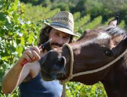 Immagine 1 di CHIANTI COLLI SENESI D.O.C.G. ARCIDUCA