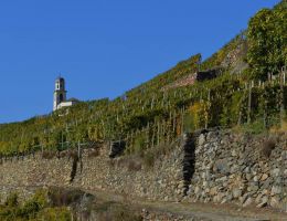 Immagine 2 di VALTELLINA SUPERIORE D.O.C.G. RISERVA Signorie®