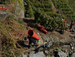 Immagine 4 di VALTELLINA SUPERIORE D.O.C.G. RISERVA Signorie®