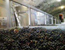 Immagine 3 di CHIANTI CLASSICO GRAN SELEZIONE D.O.C.G.DON TOMMASO