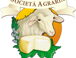 Immagine 2 di PECORINO STAGIONATO A LATTE CRUDO