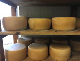 Immagine 4 di PECORINO STAGIONATO A LATTE CRUDO