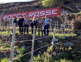 Immagine 2 di VALTELLINA SUPERIORE SASSELlA RISERVA D.O.C.G. ROCCE ROSSE  ARPEPE