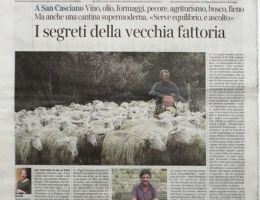 Immagine 3 di MARZOLINO DEL CHIANTI