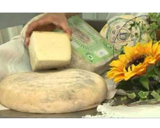 Immagine 1 di Bra Dop