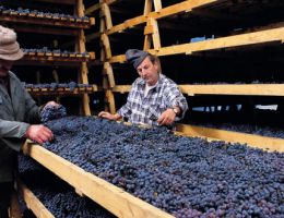 Immagine 2 di SFORZATO DI VALTELLINA D.O.C.G. PASSIONE SILVEREDITION PLOZZA VINI