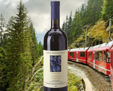 Immagine 1 di VALTELLINA SFORZATO D.O.C.G. CANUA CONTI SERTOLI SALIS