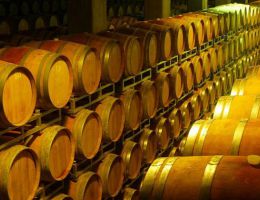 Immagine 3 di VALTELLINA SFORZATO D.O.C.G. CANUA CONTI SERTOLI SALIS