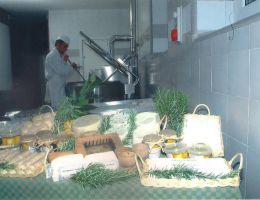 Immagine 2 di FORMAGGI DI MONTEVECCHIA LATTERIA AMABILE MAGGIONI