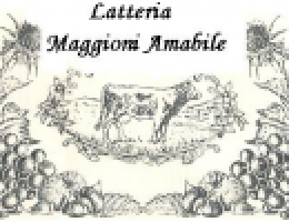 Immagine 1 di FORMAGGI DI MONTEVECCHIA LATTERIA AMABILE MAGGIONI