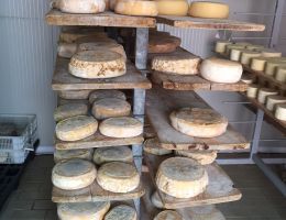 Immagine 3 di PECORINO DELLA GARFAGNANA