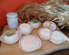 Immagine 1 di FORMAGGI DI ALTA QUALITA' A LATTE DI CAPRA