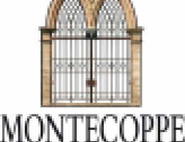 Immagine 3 di PARMIGIANO REGGIANO D.O.P. 24 MESI CASEARIA MONTECOPPE