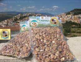 Immagine 1 di FAVA DI CARPINO