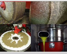 Immagine 2 di OLIO EXTRAVERGINE DI OLIVA D.O.P. UMBRIA COLLI ASSISI SPOLETO DI CATEGORIA SUPERIORE FRANTOIO RAGANI