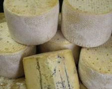 Immagine 1 di TOMA BLU ANTICA LATTERIA BRUZOLESE