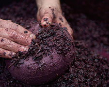 Immagine 1 di PECORINO ROSSO S. GIMIGNANO